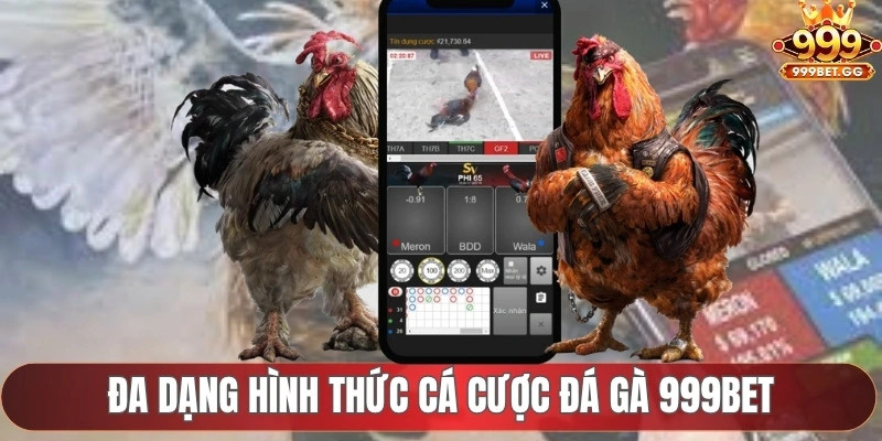 Đá Gà 999BET - Cá Cược Gà Chọi Không Giới Hạn 2025 Đa dạng hình thức cá cược đá gà 999BET