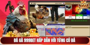 Đá gà 999Bet hấp dẫn với từng cú đá