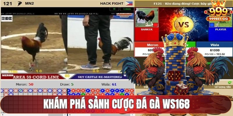 WS168 Đá Gà - Sảnh Cược Uy Tín, An Toàn Và Chất Lượng Khám phá sảnh cược đá gà WS168