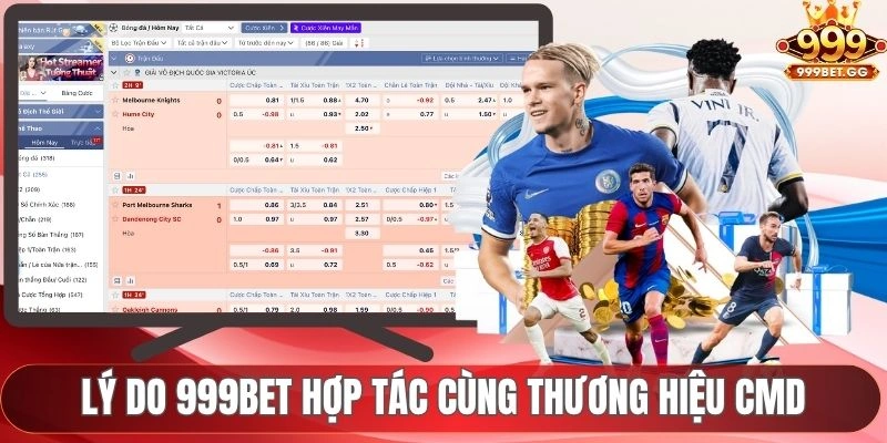 CMD Sports - Sảnh Cược Thể Thao Top 1 Châu Á Hiện Nay Lý do 999BET hợp tác cùng thương hiệu CMD