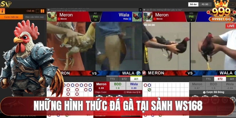 WS168 Đá Gà - Sảnh Cược Uy Tín, An Toàn Và Chất Lượng Những hình thức đá gà tại sảnh WS168
