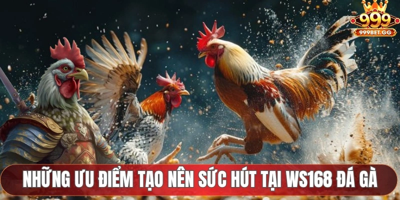 WS168 Đá Gà - Sảnh Cược Uy Tín, An Toàn Và Chất Lượng Những ưu điểm tạo nên sức hút tại WS168 đá gà