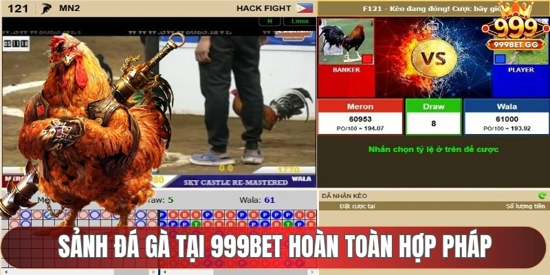 Đá Gà 999BET - Cá Cược Gà Chọi Không Giới Hạn 2025 Sảnh đá gà tại 999BET hoàn toàn hợp pháp